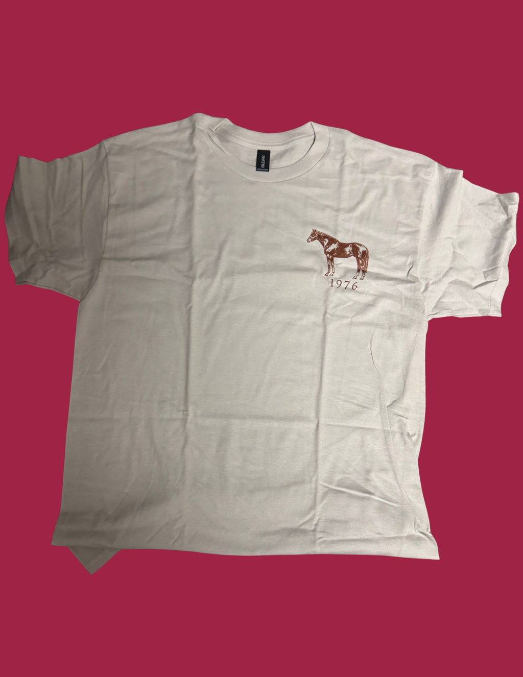 1976 T-Shirt Grey