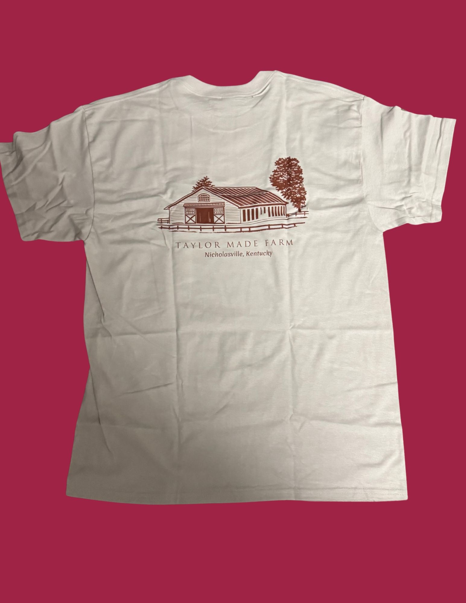 1976 T-Shirt Grey