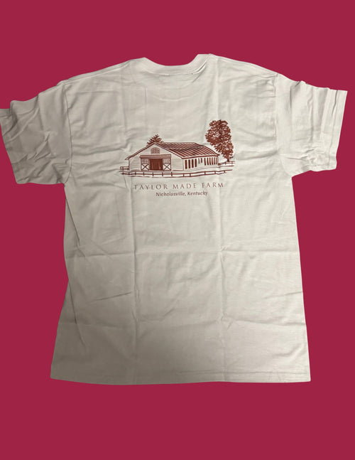 1976 T-Shirt Grey