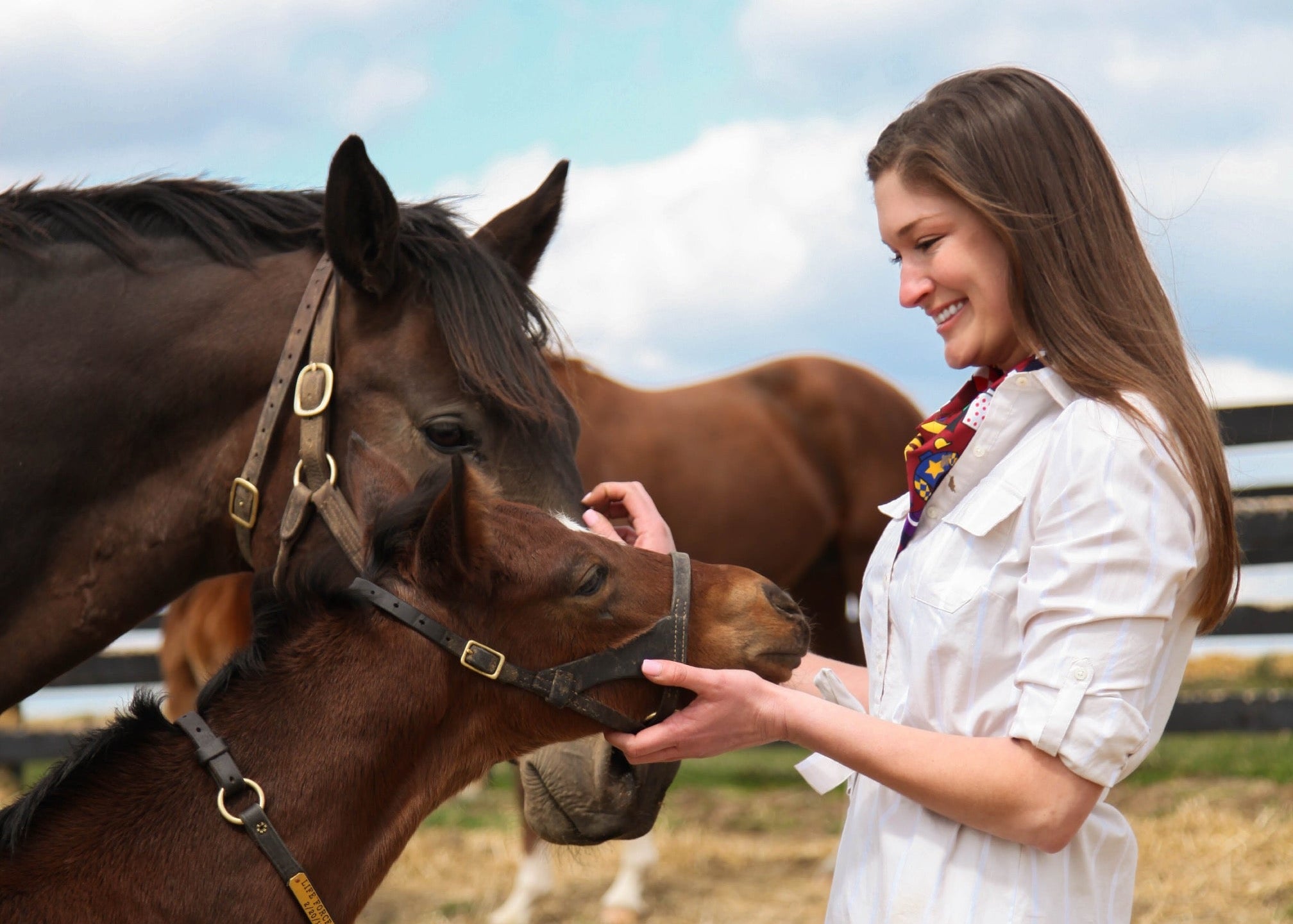 Woman in a white dress interacting with two horses in an outdoor setting.