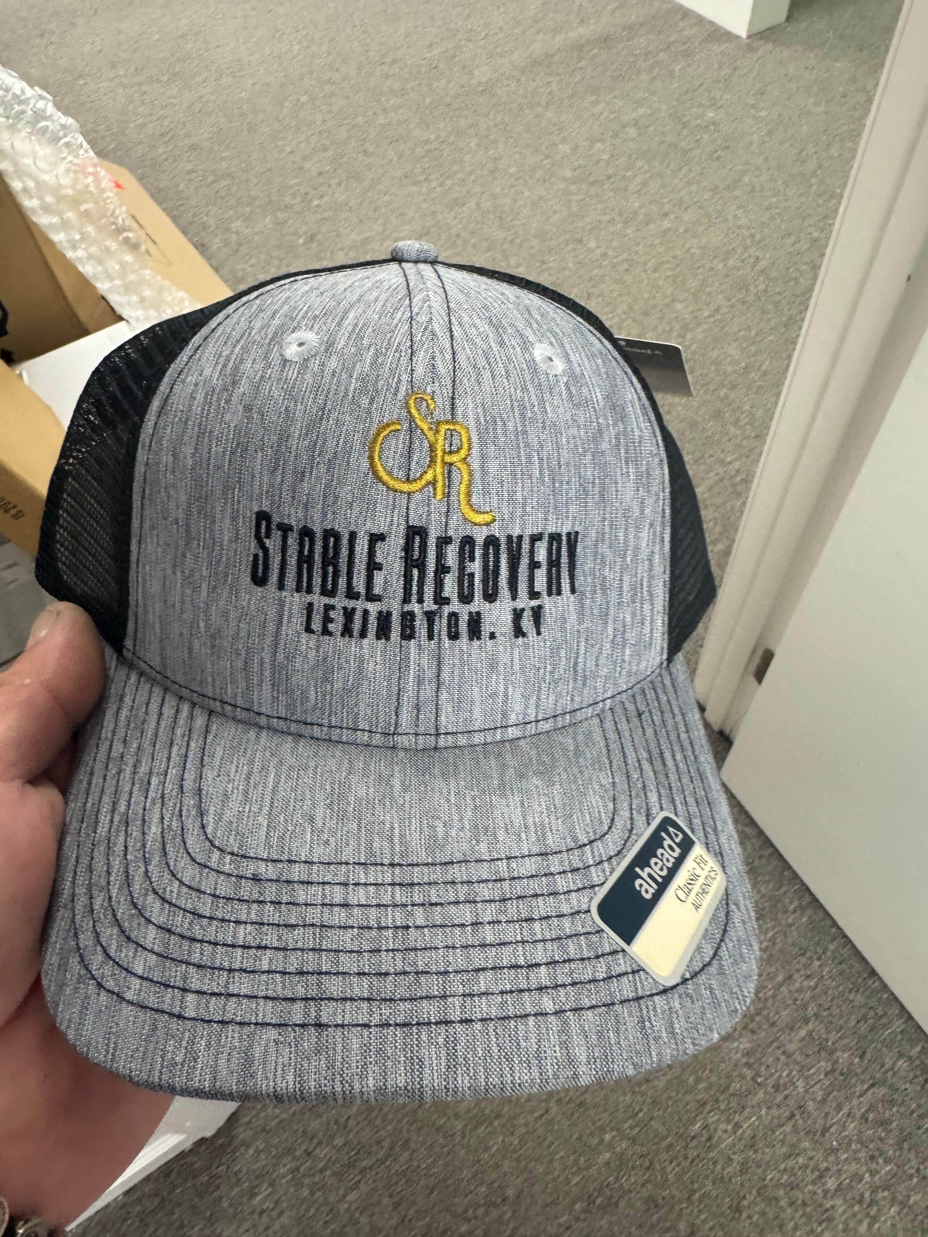 Stable Recovery Hat